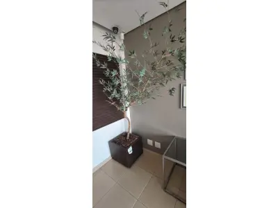 LOTE 081 - 01 JARRO COM UM BAMBU ARTIFICIAL. (NO ESTADO) ATENÇÃO! FAZER A VISITAÇÃO ANTES DE ARREMATAR, NÃO SABEMOS SE FUNCIONA, LEILÃO NÃO TEM GARANTIA E NEM DEVOLUÇÃO, SUJEITO A POSSÍVEIS AVARIAS VISÍVEIS/OCULTAS E/OU AUSÊNCIA DE COMPONENTES.