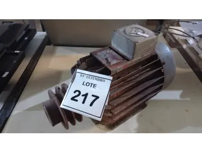 LOTE 217 - 01 MOTOR ELÉTRICO INDUSTRIAL. (NO ESTADO) ATENÇÃO! FAZER A VISITAÇÃO ANTES DE ARREMATAR, NÃO SABEMOS SE FUNCIONA, LEILÃO NÃO TEM GARANTIA E NEM DEVOLUÇÃO, SUJEITO A POSSÍVEIS AVARIAS VISÍVEIS/OCULTAS E/OU AUSÊNCIA DE COMPONENTES.