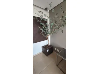 LOTE 081 - 01 JARRO COM UM BAMBU ARTIFICIAL. (NO ESTADO) ATENÇÃO! FAZER A VISITAÇÃO ANTES DE ARREMATAR, NÃO SABEMOS SE FUNCIONA, LEILÃO NÃO TEM GARANTIA E NEM DEVOLUÇÃO, SUJEITO A POSSÍVEIS AVARIAS VISÍVEIS/OCULTAS E/OU AUSÊNCIA DE COMPONENTES.