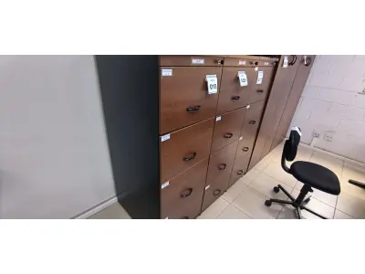 LOTE 021 - 01 ARQUIVO EM MADEIRA COM 04 GAVETAS. (NO ESTADO) ATENÇÃO! FAZER A VISITAÇÃO ANTES DE ARREMATAR, NÃO SABEMOS SE FUNCIONA, LEILÃO NÃO TEM GARANTIA E NEM DEVOLUÇÃO, SUJEITO A POSSÍVEIS AVARIAS VISÍVEIS/OCULTAS E/OU AUSÊNCIA DE COMPONENTES.