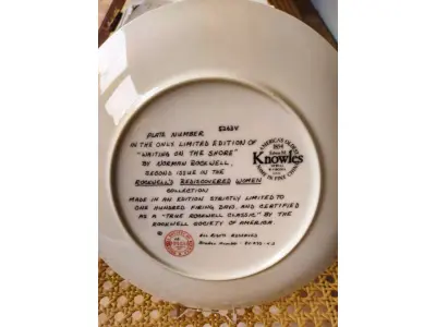 01 PRATO DE COLECIONADOR VINTAGE NORMAN ROCKWELL "WATING ON THE SHORE" "EM PORTUGUES ESPERANDO NA PRAIA", EDIÇÃO 9 DA COLEÇÃO 'MULHERES REDESCOBERTAS DE ROCKWELL'.A ARTISTA MAIS AMADA DOS ESTADOS UNIDOS APRESENTA UMA SÉRIE INTITULADA ""MULHERES REDESCOBERTAS DE ROCKWELL"". ESTA É A NONA EDIÇÃO DA SÉRIE “TRABALHANDO NA COZINHA”.PRATO DE NUMERO 5263V DA EDIÇÃO LIMITADA. EDWIN M, KNOWLES FINE CHINA, NÚMERO BRADEX 84-R70-4.2. COM CERTIFICADO DE AUTENTICIDADE E HISTÓRICO ESCRITO DA IMAGEM DA PLACA INCLUÍDOS. COM DIÂMETRO DE 21 CM CAIXA ORIGINAL. EM EXCELENTE ESTADO. O SUPORTE DO PRATO NÃO ESTÁ INCLUÍDO. PEÇA COMPRADA EM GARAGEM DE ANTIGUIDADES NOS EUA. SUPORTE PARA PRATO NÃO INCLUÍDO NESTA VENDA." . (NO ESTADO) ATENÇÃO! FAZER A VISITAÇÃO ANTES DE ARREMATAR, NÃO SABEMOS SE FUNCIONA, LEILÃO NÃO TEM GARANTIA E NEM DEVOLUÇÃO, SUJEITO A POSSÍVEIS AVARIAS VISÍVEIS/OCULTAS E/OU AUSÊNCIA DE COMPONENTES.