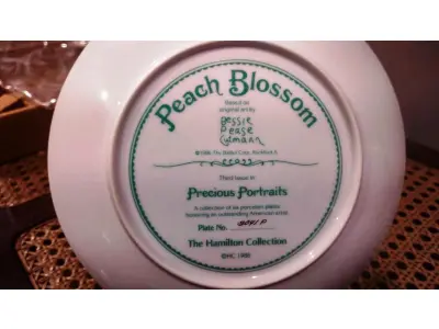 01 PRATO DE COLECIONADOR DA COLEÇÃO HAMILTON. DA COLEÇÃO PRECIOUS PORTRAITS.COM 21 CM DE DIAMETRO COM  CERTIFICADO E CAIXA ORIGINAL DA TERCEIRA EDIÇÃO DE UMA COLEÇÃO DE APENAS SEIS PRATOS DE LANÇAMENTOS COM PAISAGEMS DIFERENTES - "PEACH BLOSSOM"  "EM PORTUGUES FLOR DE PESSEGO" DA DECADA DE 80 EDIÇAO LIMITADA PRATO DE NUMERO  3041P.PEÇA COMPRADA EM GARAGEM DE ANTIGUIDADES NOS EUA. SUPORTE PARA PRATO NÃO INCLUÍDO NESTA VENDA. (NO ESTADO) ATENÇÃO! FAZER A VISITAÇÃO ANTES DE ARREMATAR, NÃO SABEMOS SE FUNCIONA, LEILÃO NÃO TEM GARANTIA E NEM DEVOLUÇÃO, SUJEITO A POSSÍVEIS AVARIAS VISÍVEIS/OCULTAS E/OU AUSÊNCIA DE COMPONENTES.