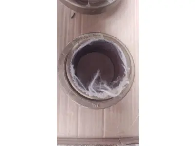 LOTE 397 - 04 BICOS DE MANGUEIRAS DE INCÊNDIO NOVOS SEM USO. (NO ESTADO) ATENÇÃO! FAZER A VISITAÇÃO ANTES DE ARREMATAR, NÃO SABEMOS SE FUNCIONA, LEILÃO NÃO TEM GARANTIA E NEM DEVOLUÇÃO, SUJEITO A POSSÍVEIS AVARIAS VISÍVEIS/OCULTAS E/OU AUSÊNCIA DE COMPONENTES.