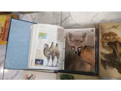 LOTE 504 - 01 LOTE DE LIVROS ANTIGOS SOBRE NATUREZA E ANIMAIS. (NO ESTADO) ATENÇÃO! FAZER A VISITAÇÃO ANTES DE ARREMATAR, NÃO SABEMOS SE FUNCIONA, LEILÃO NÃO TEM GARANTIA E NEM DEVOLUÇÃO, SUJEITO A POSSÍVEIS AVARIAS VISÍVEIS/OCULTAS E/OU AUSÊNCIA DE COMPONENTES.