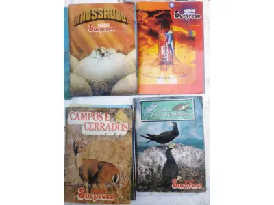 LOTE 496 - 01 LOTE COM 06 ANTIGOS ÁLBUNS NESTLÉ SUPRESA. (NO ESTADO) ATENÇÃO! FAZER A VISITAÇÃO ANTES DE ARREMATAR, NÃO SABEMOS SE FUNCIONA, LEILÃO NÃO TEM GARANTIA E NEM DEVOLUÇÃO, SUJEITO A POSSÍVEIS AVARIAS VISÍVEIS/OCULTAS E/OU AUSÊNCIA DE COMPONENTES.