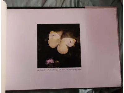 LOTE 472 - 01 RARO LIVRO FLYING FLOWERS RICK SAMMON. (NO ESTADO) ATENÇÃO! FAZER A VISITAÇÃO ANTES DE ARREMATAR, NÃO SABEMOS SE FUNCIONA, LEILÃO NÃO TEM GARANTIA E NEM DEVOLUÇÃO, SUJEITO A POSSÍVEIS AVARIAS VISÍVEIS/OCULTAS E/OU AUSÊNCIA DE COMPONENTES.