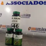 LOTE 046 - 03 FRASCOS DE 30 ERVAS BIO&FLORA 500MG COM 60 CAPSULAS CADA. (NO ESTADO, LEILÃO NÃO TEM GARANTIA E NEM DEVOLUÇÃO, SUJEITO A POSSÍVEIS AVARIAS VISÍVEIS/OCULTAS E/OU AUSÊNCIA DE COMPONENTES).