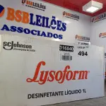LOTE 494 - 12 LITROS DE LYSOFORM. (NO ESTADO, LEILÃO NÃO TEM GARANTIA E NEM DEVOLUÇÃO, SUJEITO A POSSÍVEIS AVARIAS VISÍVEIS/OCULTAS E/OU AUSÊNCIA DE COMPONENTES).