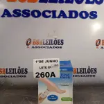 LOTE 260 - 01 MASSAGEADOR PORTÁTIL. (NO ESTADO, LEILÃO NÃO TEM GARANTIA E NEM DEVOLUÇÃO, SUJEITO A POSSÍVEIS AVARIAS VISÍVEIS/OCULTAS E/OU AUSÊNCIA DE COMPONENTES).