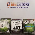 LOTE 467 - 03 CARRETEIS DE LINHA DE PESCA MARCAS E MODELOS DIVERSOS. (NO ESTADO, LEILÃO NÃO TEM GARANTIA E NEM DEVOLUÇÃO, SUJEITO A POSSÍVEIS AVARIAS VISÍVEIS/OCULTAS E/OU AUSÊNCIA DE COMPONENTES).