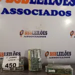 LOTE 450 - 01 LOTE COM GRANDE QUANTIDADE DE PENTES DE MEMÓRIA PARA PC. (NO ESTADO, LEILÃO NÃO TEM GARANTIA E NEM DEVOLUÇÃO, SUJEITO A POSSÍVEIS AVARIAS VISÍVEIS/OCULTAS E/OU AUSÊNCIA DE COMPONENTES).