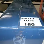 LOTE 160 - VAPORIZADOR DE PISO, MOP11, PRETO, 220V, ELECTROLUX (NO ESTADO SEM GARANTIA DE FUNCIONAMENTO, SUJEITO A POSSÍVEIS AVARIAS VISÍVEIS/OCULTAS E/OU AUSÊNCIA DE COMPONENTES)
