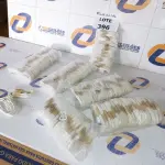 LOTE 396 - 120 CABOS CARREGADOR MICRO USB V8 (NO ESTADO SEM GARANTIA DE FUNCIONAMENTO, SUJEITO A POSSÍVEIS AVARIAS VISÍVEIS/OCULTAS E/OU AUSÊNCIA DE COMPONENTES)
