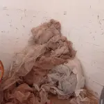 LOTE 014 - 01-LOTE C/TELAS DE PROTEÇÃO PARA OBRA (NO ESTADO)
