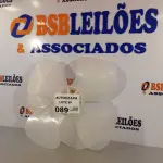 LOTE 089 - 02 HÉLICES DO VENTILADOR VENTDELTA. (NO ESTADO, NÃO SABEMOS SE FUNCIONA. LEILÃO NÃO TEM GARANTIA E NEM DEVOLUÇÃO).