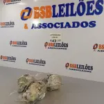 LOTE 143 - 03 MOTORES DO VENTILADOR MALLORY. (NO ESTADO, NÃO SABEMOS SE FUNCIONA. LEILÃO NÃO TEM GARANTIA E NEM DEVOLUÇÃO).