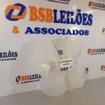 LOTE 089 - 02 HÉLICES DO VENTILADOR VENTDELTA. (NO ESTADO, NÃO SABEMOS SE FUNCIONA. LEILÃO NÃO TEM GARANTIA E NEM DEVOLUÇÃO).