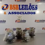LOTE 144 - 04 MOTORES DO MULTIPROCESSADOR MONDIAL 220V. (NO ESTADO, NÃO SABEMOS SE FUNCIONA. LEILÃO NÃO TEM GARANTIA E NEM DEVOLUÇÃO).