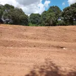 LOTE 001 - 01 LOTE 10-A DA QUADRA 08 DO LOTEAMENTO 01 LOTE 12-A DA QUADRA 08 DO LOTEAMENTO PARQUE ESTRELA D`ALVA XXII, EM SANTO ANTÔNIO DO DESCOBERTO -GO COM ÁREA DE 180m² COM A MATRÍCULA Nº 30.409, LIVRO 02 - REGISTRO GERAL. (NO ESTADO)