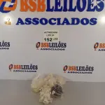LOTE 152 - 08 PEÇAS DA CAIXA REDUTORA DO VENTILADOR VENTISOL. (NO ESTADO, NÃO SABEMOS SE FUNCIONA. LEILÃO NÃO TEM GARANTIA E NEM DEVOLUÇÃO).