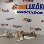 LOTE 054 - 02 CARCAÇAS DO FERRO DE PASSAR MARCA OSTER. (NO ESTADO, NÃO SABEMOS SE FUNCIONA. LEILÃO NÃO TEM GARANTIA E NEM DEVOLUÇÃO).