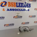 LOTE 156 - 01 MOTOR DE HÉLICE, 01 MOTOR DE OSCILAÇÃO DO CLIMATIZADOR VENTISOL. (NO ESTADO, NÃO SABEMOS SE FUNCIONA. LEILÃO NÃO TEM GARANTIA E NEM DEVOLUÇÃO).
