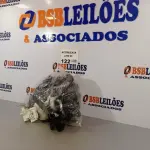 LOTE 122 - 38 PEÇAS DO SUPORTE DO MOTOR DO VENTILADOR VENTISOL. (NO ESTADO, NÃO SABEMOS SE FUNCIONA. LEILÃO NÃO TEM GARANTIA E NEM DEVOLUÇÃO).