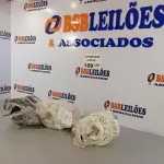 LOTE 109 - 03 MOTORES DE VENTILADORES DIVERSOS. (NO ESTADO, NÃO SABEMOS SE FUNCIONA. LEILÃO NÃO TEM GARANTIA E NEM DEVOLUÇÃO).