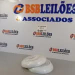 LOTE 049 - 02 FUNDOS DA PANELA DE ARROZ MONDIAL NPE-05. (NO ESTADO, NÃO SABEMOS SE FUNCIONA. LEILÃO NÃO TEM GARANTIA E NEM DEVOLUÇÃO).