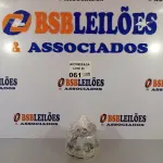 LOTE 061 - 01 MOTOR DO CIRCULADOR MONDIAL CA-53 220V. (NO ESTADO, NÃO SABEMOS SE FUNCIONA. LEILÃO NÃO TEM GARANTIA E NEM DEVOLUÇÃO).