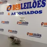 LOTE 060 - 01 MOTOR TRON GLOBO 220V 130W. (NO ESTADO, NÃO SABEMOS SE FUNCIONA. LEILÃO NÃO TEM GARANTIA E NEM DEVOLUÇÃO).