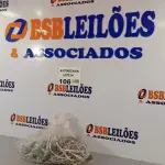 LOTE 106 - 17 PEÇAS DE CHAVE ROTATIVA DO VENTILADOR VENTDELTA. (NO ESTADO, NÃO SABEMOS SE FUNCIONA. LEILÃO NÃO TEM GARANTIA E NEM DEVOLUÇÃO).
