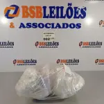 LOTE 002 - 05 CORPOS DO ESPREMEDOR MONDIAL. (NO ESTADO, NÃO SABEMOS SE FUNCIONA. LEILÃO NÃO TEM GARANTIA E NEM DEVOLUÇÃO).