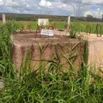 LOTE 081 - 07 SAPATAS DE CONCRETO PARA SUSTENTAÇÃO DE TORRES  (NO ESTADO, NÃO SABEMOS SE FUNCIONA. LEILÃO NÃO TEM GARANTIA E NEM DEVOLUÇÃO).