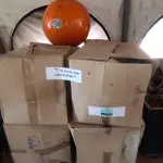 LOTE 038 - 09 ESFERAS DE SINALIZAÇÃO MODELO 900-60FV3 (NO ESTADO, NÃO SABEMOS SE FUNCIONA. LEILÃO NÃO TEM GARANTIA E NEM DEVOLUÇÃO.