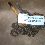 LOTE 052 - 01 TALHA MANUAL DE CORRENTES BEAG-STEEL CAP 3.T (NO ESTADO, NÃO SABEMOS SE FUNCIONA. LEILÃO NÃO TEM GARANTIA E NEM DEVOLUÇÃO).