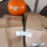 LOTE 038 - 09 ESFERAS DE SINALIZAÇÃO MODELO 900-60FV3 (NO ESTADO, NÃO SABEMOS SE FUNCIONA. LEILÃO NÃO TEM GARANTIA E NEM DEVOLUÇÃO.