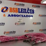 LOTE 051 - 10 GUIAS PARA CACHORRO NA COR ROSA. (NO ESTADO, LEILÃO NÃO TEM GARANTIA E NEM DEVOLUÇÃO, SUJEITO A POSSÍVEIS AVARIAS VISÍVEIS/OCULTAS E/OU AUSÊNCIA DE COMPONENTES).