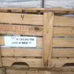LOTE 065 - 01 LOTE COM PARAFUSOS M16X40 (NO ESTADO, NÃO SABEMOS SE FUNCIONA. LEILÃO NÃO TEM GARANTIA E NEM DEVOLUÇÃO).