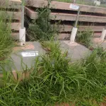 LOTE 082 - 10 SAPATAS DE CONCRETO PARA SUSTENTAÇÃO DE TORRE (NO ESTADO, NÃO SABEMOS SE FUNCIONA. LEILÃO NÃO TEM GARANTIA E NEM DEVOLUÇÃO).