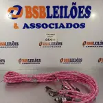 LOTE 051 - 10 GUIAS PARA CACHORRO NA COR ROSA. (NO ESTADO, LEILÃO NÃO TEM GARANTIA E NEM DEVOLUÇÃO, SUJEITO A POSSÍVEIS AVARIAS VISÍVEIS/OCULTAS E/OU AUSÊNCIA DE COMPONENTES).