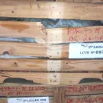 LOTE 067 - O1 LOTE COM PORCAS M16 (NO ESTADO, NÃO SABEMOS SE FUNCIONA. LEILÃO NÃO TEM GARANTIA E NEM DEVOLUÇÃO).
