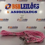 LOTE 051 - 10 GUIAS PARA CACHORRO NA COR ROSA. (NO ESTADO, LEILÃO NÃO TEM GARANTIA E NEM DEVOLUÇÃO, SUJEITO A POSSÍVEIS AVARIAS VISÍVEIS/OCULTAS E/OU AUSÊNCIA DE COMPONENTES).