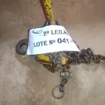 LOTE 041 - 01 TALHA MANUAL DE CORRENTES PEQUENA (NO ESTADO, NÃO SABEMOS SE FUNCIONA. LEILÃO NÃO TEM GARANTIA E NEM DEVOLUÇÃO).