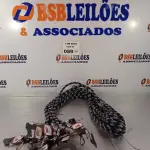 LOTE 089 - 11 GUIAS PARA CACHORRO NA COR PRETA. (NO ESTADO, LEILÃO NÃO TEM GARANTIA E NEM DEVOLUÇÃO, SUJEITO A POSSÍVEIS AVARIAS VISÍVEIS/OCULTAS E/OU AUSÊNCIA DE COMPONENTES).