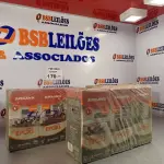 LOTE 170 - 09 KG DE REJUNTAMENTO EPÓXI SUPER JUNTA. (NO ESTADO, LEILÃO NÃO TEM GARANTIA E NEM DEVOLUÇÃO, SUJEITO A POSSÍVEIS AVARIAS VISÍVEIS/OCULTAS E/OU AUSÊNCIA DE COMPONENTES).