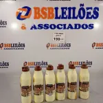 LOTE 190 - 06 TUBOS DE COLA PARA MADEIRA 250G. (NO ESTADO, LEILÃO NÃO TEM GARANTIA E NEM DEVOLUÇÃO, SUJEITO A POSSÍVEIS AVARIAS VISÍVEIS/OCULTAS E/OU AUSÊNCIA DE COMPONENTES).