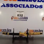 LOTE 032 - 01 KATANA DECORATIVA. (NO ESTADO, LEILÃO NÃO TEM GARANTIA E NEM DEVOLUÇÃO, SUJEITO A POSSÍVEIS AVARIAS VISÍVEIS/OCULTAS E/OU AUSÊNCIA DE COMPONENTES).