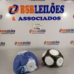 LOTE 100 - 06 FRASCOS DE SHAMPOO E 06 FRASCOS CONDICIONADOR AUSSIE 180ML. (NO ESTADO, LEILÃO NÃO TEM GARANTIA E NEM DEVOLUÇÃO, SUJEITO A POSSÍVEIS AVARIAS VISÍVEIS/OCULTAS E/OU AUSÊNCIA DE COMPONENTES).
