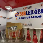 LOTE 017 - 06 - TAÇAS PARA SUNDAE 18CM - CASAMBIENTE (NO ESTADO, NÃO SABEMOS SE FUNCIONA. LEILÃO NÃO TEM GARANTIA E NEM DEVOLUÇÃO, SUJEITO A POSSÍVEIS AVARIASVISÍVEIS/OCULTAS E/OU AUSÊNCIA DE COMPONENTES)